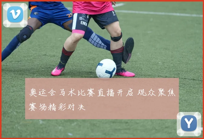 奥运会马术比赛直播开启 观众聚焦赛场精彩对决