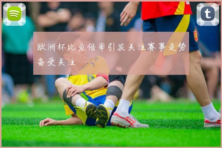 欧洲杯比分倍率引发关注赛事走势备受关注