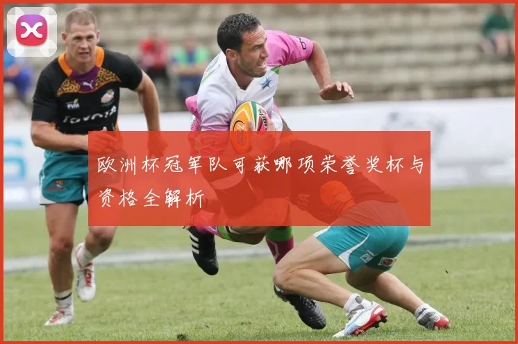 欧洲杯冠军队可获哪项荣誉奖杯与资格全解析