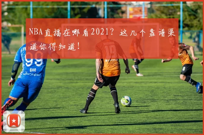 NBA直播在哪看2021?这几个靠谱渠道你得知道!