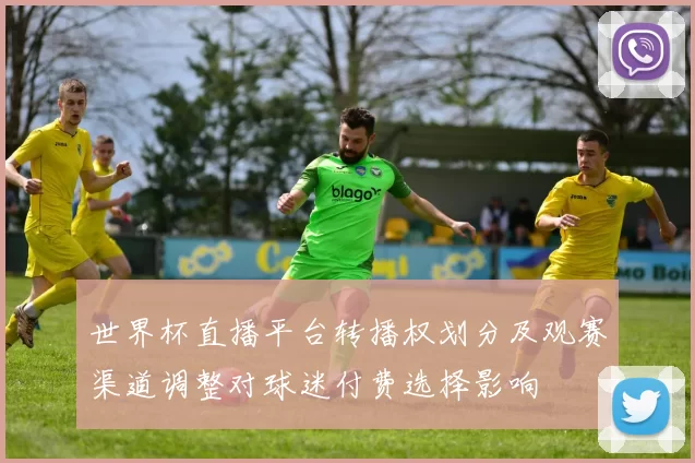 世界杯直播平台转播权划分及观赛渠道调整对球迷付费选择影响