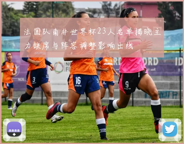 法国队南非世界杯23人名单揭晓主力缺席与阵容调整影响出线