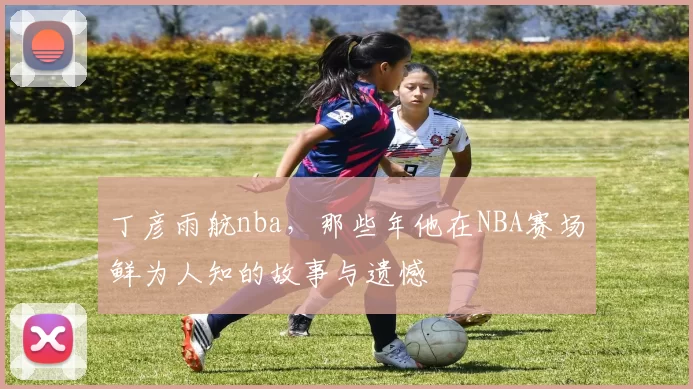 丁彦雨航nba，那些年他在NBA赛场鲜为人知的故事与遗憾
