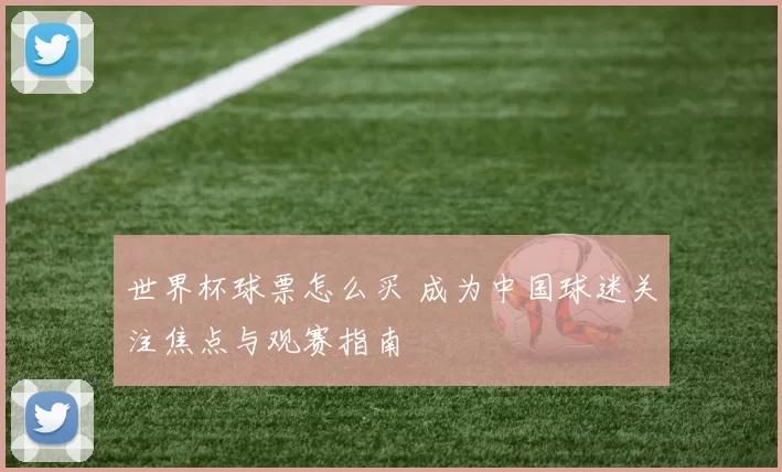 世界杯球票怎么买 成为中国球迷关注焦点与观赛指南
