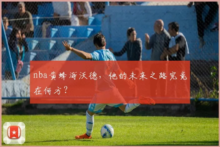 nba黄蜂海沃德,他的未来之路究竟在何方?